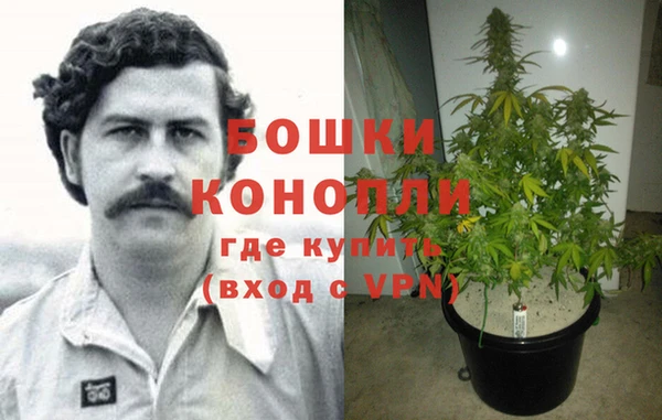 apvp Аркадак