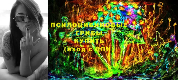 apvp Аркадак