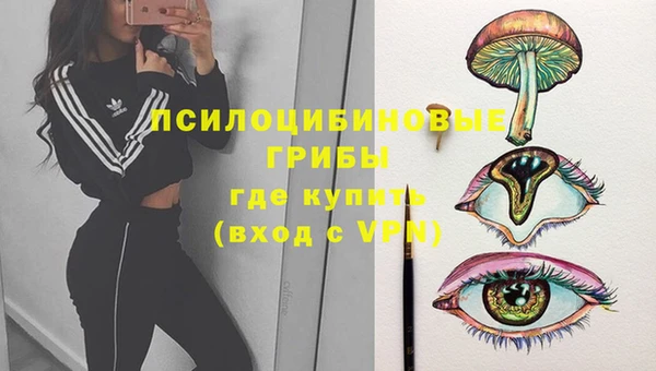 apvp Аркадак